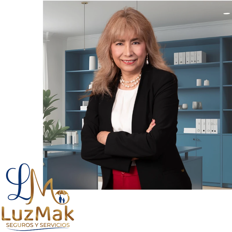 LuzMak Control de citas